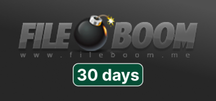 Fileboom Premium 30 Days
