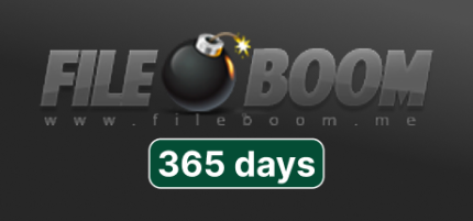 Fileboom Premium 365 Days