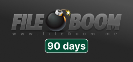 Fileboom Premium 90 Days