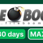 Fileboom Premium MAX 30 Days