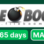 Fileboom Premium MAX 365 Days