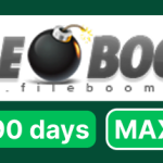 Fileboom Premium MAX 90 Days