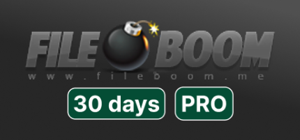 Fileboom Premium PRO 30 Days