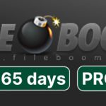 Fileboom Premium PRO 365 Days